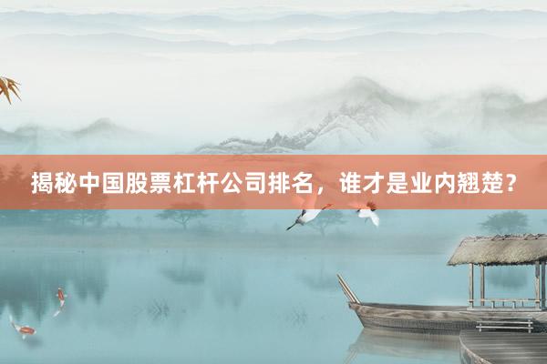 揭秘中国股票杠杆公司排名，谁才是业内翘楚？
