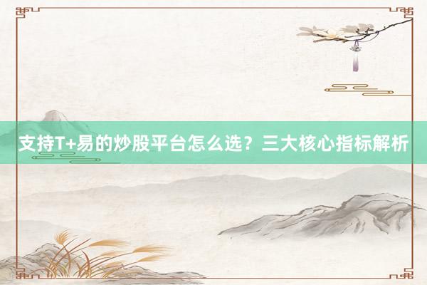 支持T+易的炒股平台怎么选？三大核心指标解析