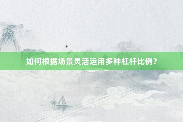 如何根据场景灵活运用多种杠杆比例？