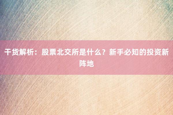 干货解析：股票北交所是什么？新手必知的投资新阵地