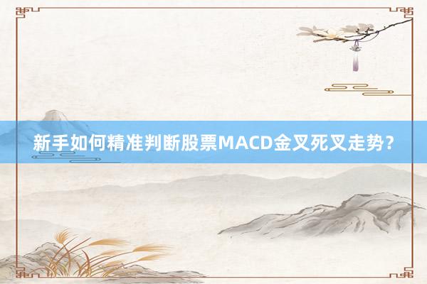 新手如何精准判断股票MACD金叉死叉走势？