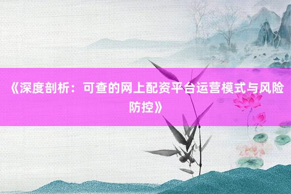 《深度剖析：可查的网上配资平台运营模式与风险防控》