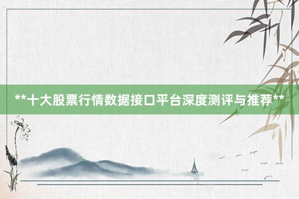 **十大股票行情数据接口平台深度测评与推荐**