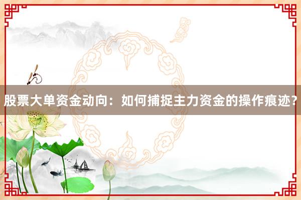 股票大单资金动向：如何捕捉主力资金的操作痕迹？