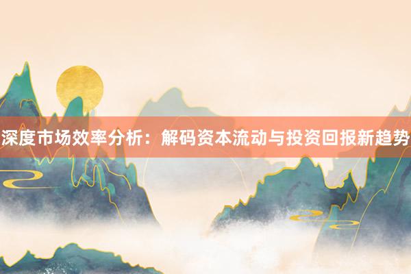 深度市场效率分析：解码资本流动与投资回报新趋势
