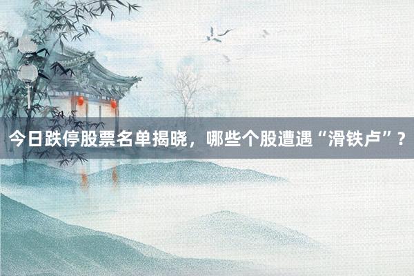 今日跌停股票名单揭晓，哪些个股遭遇“滑铁卢”？