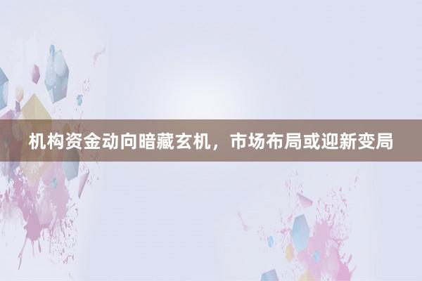 机构资金动向暗藏玄机，市场布局或迎新变局