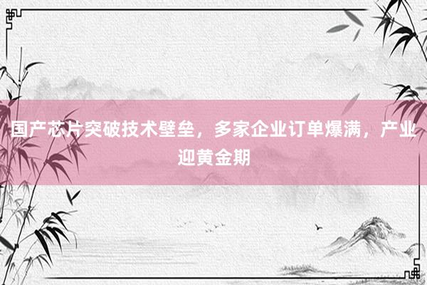 国产芯片突破技术壁垒，多家企业订单爆满，产业迎黄金期