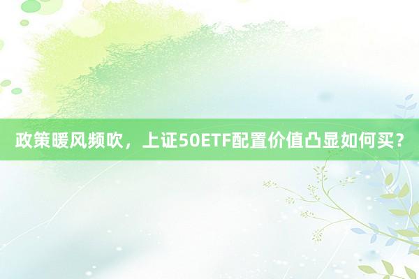 政策暖风频吹，上证50ETF配置价值凸显如何买？
