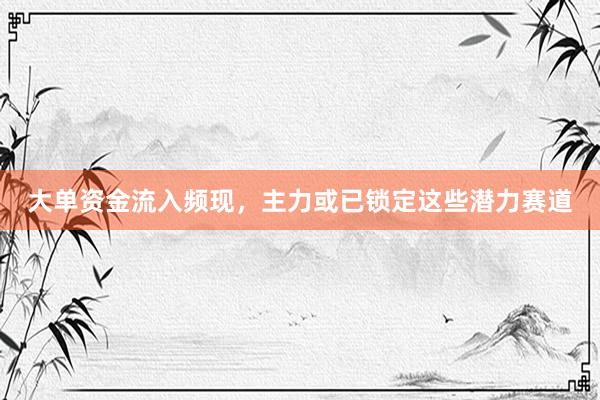大单资金流入频现，主力或已锁定这些潜力赛道