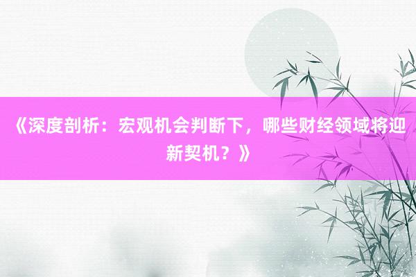《深度剖析：宏观机会判断下，哪些财经领域将迎新契机？》