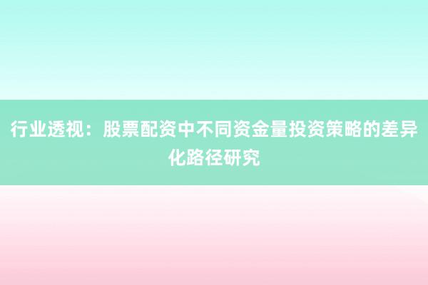 行业透视：股票配资中不同资金量投资策略的差异化路径研究