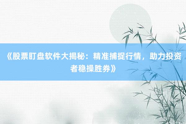 《股票盯盘软件大揭秘：精准捕捉行情，助力投资者稳操胜券》