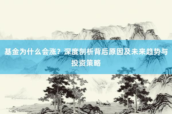 基金为什么会涨？深度剖析背后原因及未来趋势与投资策略