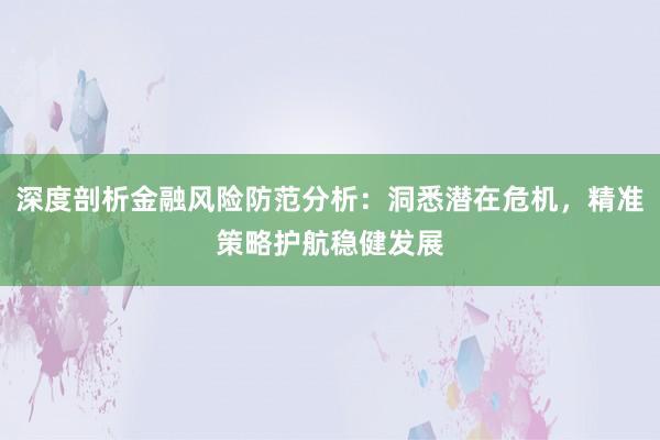 深度剖析金融风险防范分析：洞悉潜在危机，精准策略护航稳健发展