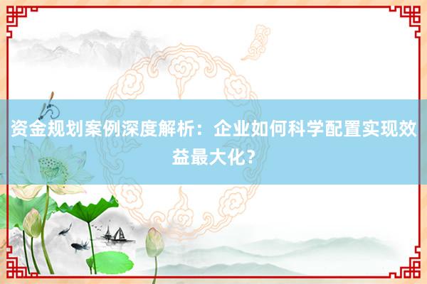 资金规划案例深度解析：企业如何科学配置实现效益最大化？
